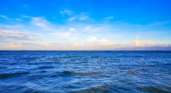 Playa del Carmen Mexico 'da turkuvaz mavisi tatil beldeleri ve palmiye ağaçları olan tropik Meksika Karayip plajı manzarası..