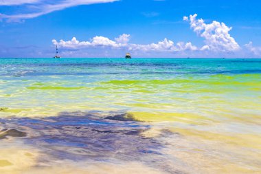 Playa del Carmen Mexico 'da turkuvaz mavisi tatil beldeleri ve palmiye ağaçları olan tropik Meksika Karayip plajı manzarası..