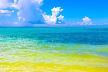 Playa del Carmen Mexico 'da turkuvaz mavisi tatil beldeleri ve palmiye ağaçları olan tropik Meksika Karayip plajı manzarası..