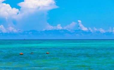 Playa del Carmen Mexico 'da turkuvaz mavisi tatil beldeleri ve palmiye ağaçları olan tropik Meksika Karayip plajı manzarası..