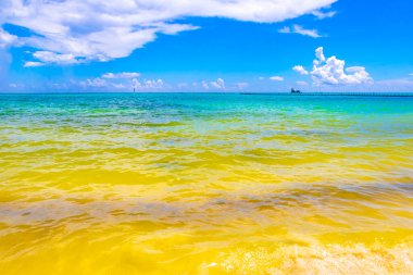 Playa del Carmen Mexico 'da turkuvaz mavisi tatil beldeleri ve palmiye ağaçları olan tropik Meksika Karayip plajı manzarası..
