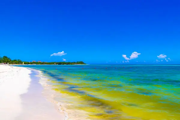 Tropical Μεξικάνικη Καραϊβική Παραλία Τοπίο Πανόραμα Σαφή Γαλαζοπράσινα Θέρετρα Και — Φωτογραφία Αρχείου