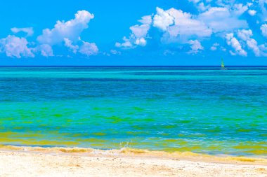 Playa del Carmen Mexico 'da turkuvaz mavisi tatil beldeleri ve palmiye ağaçları olan tropik Meksika Karayip plajı manzarası..