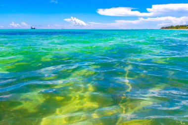 Playa del Carmen Mexico 'da turkuvaz mavisi tatil beldeleri ve palmiye ağaçları olan tropik Meksika Karayip plajı manzarası..