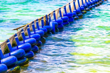 Sargazo yosunlu deniz yosunu ağ halatı ve açık turkuaz mavi şamandıralarla Playa del Carmen Meksika 'da.