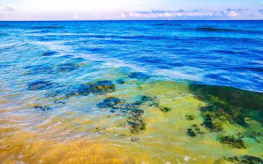 Playa del Carmen Quintana Roo Meksika 'daki Karayipler sahilinde turkuaz yeşil ve mavi sularda kayalar ve mercanlar..