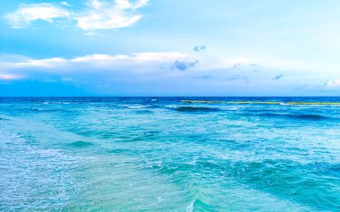 Playa del Carmen Meksika 'da turkuvaz mavisi berrak sulara sahip tropik Meksika Karayip sahili manzarası..