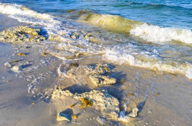 Playa del Carmen Quintana Roo Meksika sahilindeki turkuaz yeşil ve mavi sularda kayalar ve mercanlar..