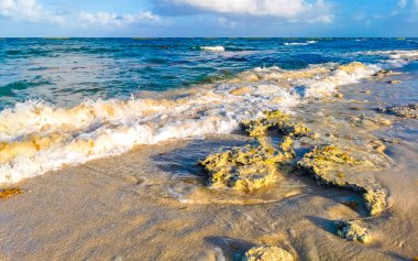 Playa del Carmen Quintana Roo Meksika sahilindeki turkuaz yeşil ve mavi sularda kayalar ve mercanlar..