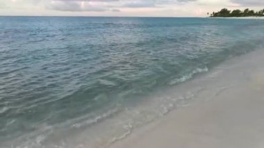 Playa del Carmen Mexico 'da turkuvaz mavisi tatil beldeleri ve palmiye ağaçları olan tropik Meksika Karayip plajı manzarası..