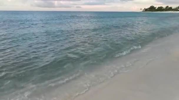 Panorama Tropical Playa Caribeña Mexicana Con Balnearios Palmeras Playa Del — Vídeos de Stock