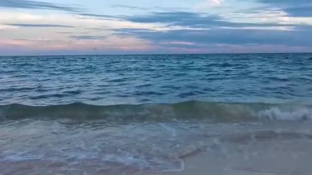Playa Del Carmen Mexico Turkuaz Mavi Tatil Beldeleri Palmiye Ağaçlarıyla — Stok video
