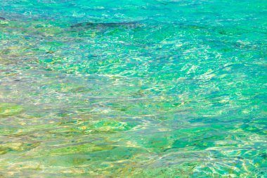 Suda renk değişimine sahip doğal tropik kumsal adaları. Madivaru ve Finolhu Rasdhoo Mercan Maldivleri 'nde..