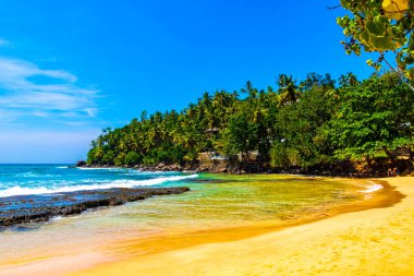 Mirissa Sahili 'nin güneyindeki Sri Lanka Plajı' nda palmiye ağaçları dalgaları ve deniz manzaralı güzel tropik bir sahil..