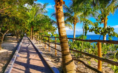 Tahta patika patika yolu ve Karayipler sahilinde çit ve Playa del Carmen Quintana Roo Meksika 'da palmiye ağaçları ile tropikal doğa.