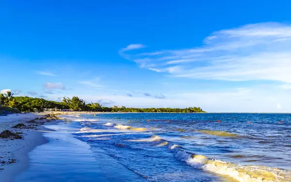 Playa del Carmen Mexico 'da turkuvaz mavisi tatil beldeleri ve palmiye ağaçları olan tropik Meksika Karayip plajı manzarası..