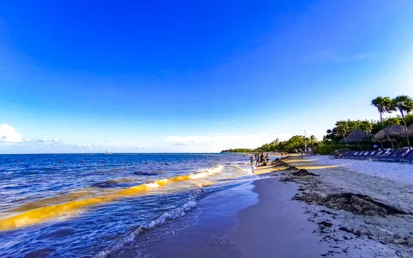 stock image Awesome amazing and colorful sunset sunrise at the tropical mexican caribbean beach landscape panorama with clear turquoise blue water resorts and palm trees in Playa del Carmen Mexico.