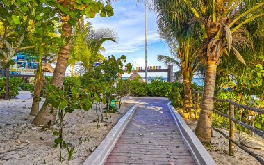 Tahta patika patika yolu ve Karayipler sahilinde çit ve Playa del Carmen Quintana Roo Meksika 'da palmiye ağaçları ile tropikal doğa.