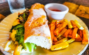 Playa del Carmen Quintana Roo Mexico 'da tavuklu ekmek, domates salatası ve patates kızartması..