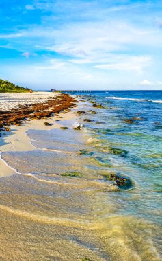 Playa del Carmen Quintana Roo Meksika sahilindeki turkuaz yeşil ve mavi sularda kayalar ve mercanlar..