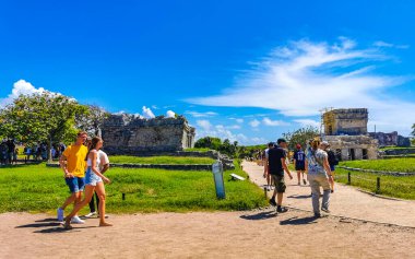 Tulum Quintana Roo Mexico 15. Temmuz 2023 'te Antik Tulum, Tulum Meksika' daki tropikal doğal orman palmiyeleri manzarasında tapınak kalıntıları ve eserlerle Maya bölgesini harap etti..