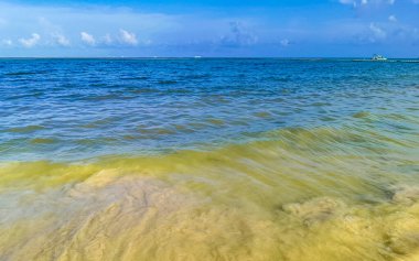 Dalgalar, Playa del Carmen Meksika 'daki tropik Meksika Karayip plajlarında mavi su ve kumsala vurur..