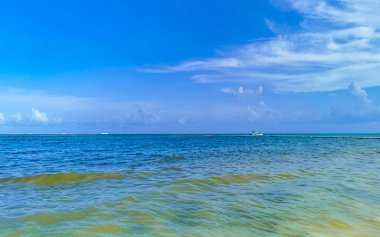 Playa del Carmen Meksika 'da turkuvaz mavisi berrak sulara sahip tropik Meksika Karayip sahili manzarası..