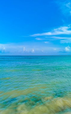 Playa del Carmen Meksika 'da turkuvaz mavisi berrak sulara sahip tropik Meksika Karayip sahili manzarası..