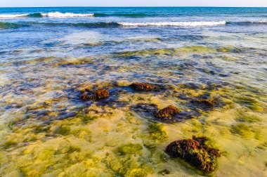 Playa del Carmen Quintana Roo Meksika sahilindeki turkuaz yeşil ve mavi sularda kayalar ve mercanlar..
