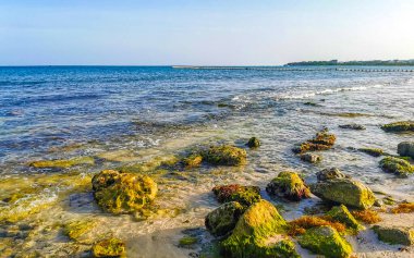 Playa del Carmen Quintana Roo Meksika sahilindeki turkuaz yeşil ve mavi sularda kayalar ve mercanlar..
