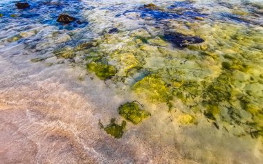 Playa del Carmen Quintana Roo Meksika sahilindeki turkuaz yeşil ve mavi sularda kayalar ve mercanlar..