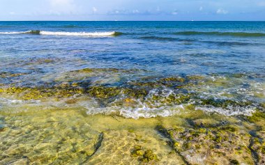 Playa del Carmen Quintana Roo Meksika sahilindeki turkuaz yeşil ve mavi sularda kayalar ve mercanlar..