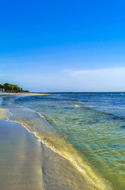 Playa del Carmen Meksika 'da turkuvaz mavisi berrak sulara sahip tropik Meksika Karayip sahili manzarası..