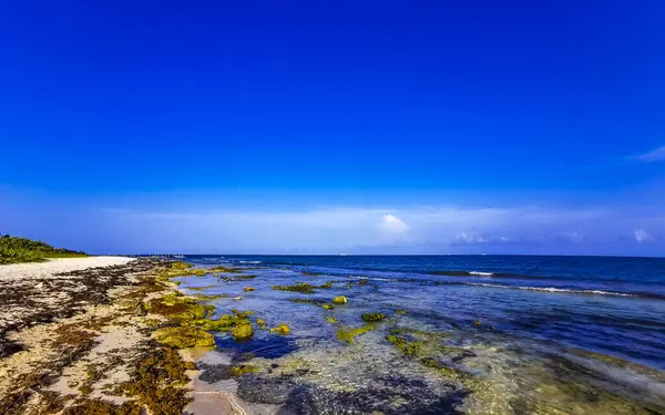 Playa del Carmen Quintana Roo Meksika sahilindeki turkuaz yeşil ve mavi sularda kayalar ve mercanlar..