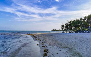 Playa del Carmen Meksika 'da turkuvaz mavisi berrak sulara sahip tropik Meksika Karayip sahili manzarası..