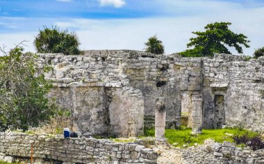 Antik Tulum, Tulum Meksika 'daki tropikal doğal orman palmiyeleri manzarasında tapınak kalıntıları ve eserlerle Maya bölgesini harap ediyor..
