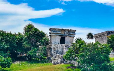 Antik Tulum, Tulum Meksika 'daki tropikal doğal orman palmiyeleri manzarasında tapınak kalıntıları ve eserlerle Maya bölgesini harap ediyor..