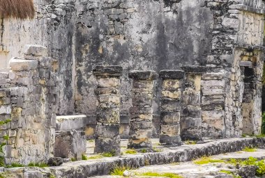 Antik Tulum, Tulum Meksika 'daki tropikal doğal orman palmiyeleri manzarasında tapınak kalıntıları ve eserlerle Maya bölgesini harap ediyor..