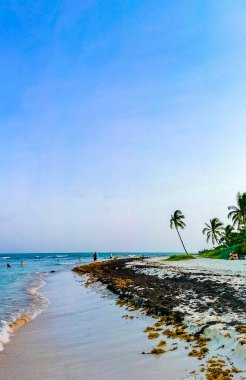 Playa del Carmen Meksika 'da turkuvaz mavisi berrak sulara sahip tropik Meksika Karayip sahili manzarası..