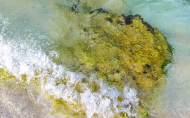 Playa del Carmen Quintana Roo Meksika sahilindeki turkuaz yeşil ve mavi sularda kayalar ve mercanlar..