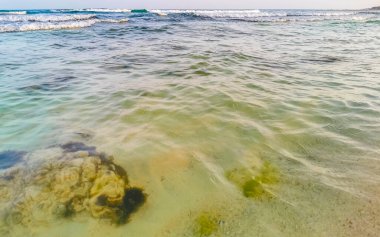 Playa del Carmen Quintana Roo Meksika sahilindeki turkuaz yeşil ve mavi sularda kayalar ve mercanlar..