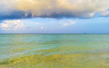 Playa del Carmen Meksika 'da turkuvaz mavisi berrak sulara sahip tropik Meksika Karayip sahili manzarası..
