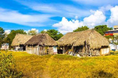 Maya kulübeleri tropikal ormanda Playa del Carmen Quintana Roo Meksika plaj girişinde ahşap kulübe.