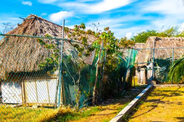 Maya kulübeleri tropikal ormanda Playa del Carmen Quintana Roo Meksika plaj girişinde ahşap kulübe.