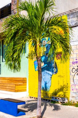 Playa del Carmen Quintana Roo Meksika 05. Ağustos 2023 Playa del Carmen Meksika 'da Hindistan cevizi ve mavi gökyüzü arka planlı tropik doğal Meksika palmiyeleri.