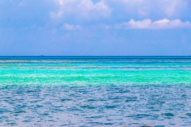Playa del Carmen Meksika 'da turkuvaz mavisi berrak sulara sahip tropik Meksika Karayip sahili manzarası..