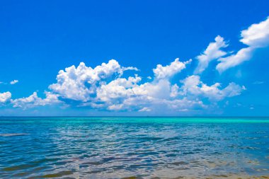 Playa del Carmen Meksika 'da turkuvaz mavisi berrak sulara sahip tropik Meksika Karayip sahili manzarası..