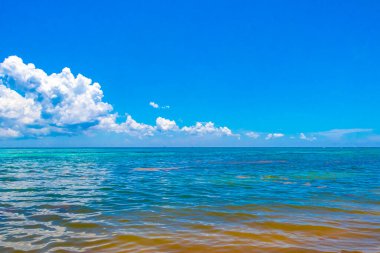 Playa del Carmen Meksika 'da turkuvaz mavisi berrak sulara sahip tropik Meksika Karayip sahili manzarası..