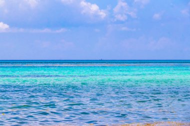 Playa del Carmen Meksika 'da turkuvaz mavisi berrak sulara sahip tropik Meksika Karayip sahili manzarası..