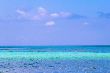 Playa del Carmen Meksika 'da turkuvaz mavisi berrak sulara sahip tropik Meksika Karayip sahili manzarası..